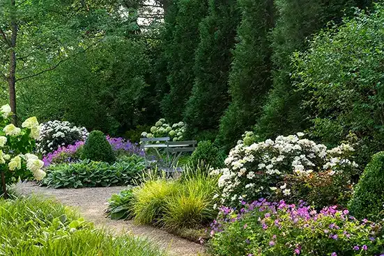 Pathway with flowers