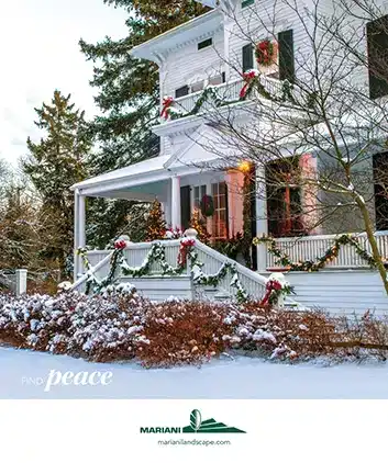 Find Peace
