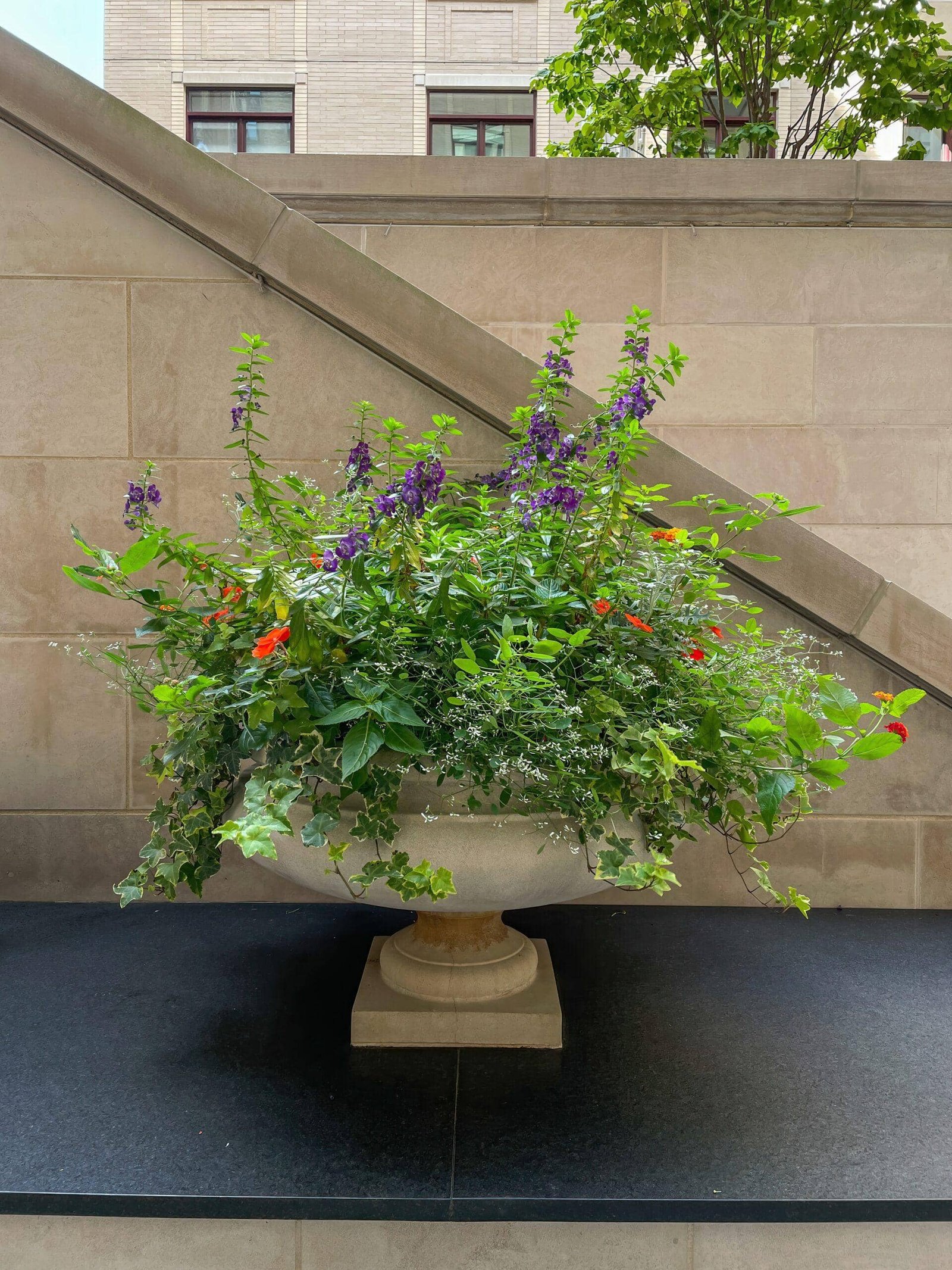 A large concrete planter filled with various green plants and purple flowers sits on a black platform against a stone wall backdrop, exemplifying meticulous landscape maintenance for HOAs.
