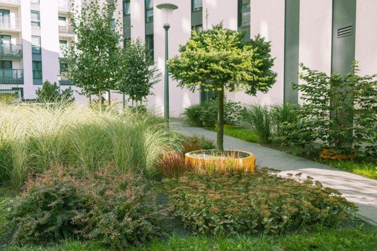 Modern apartment building exterior with landscaped garden, showcasing meticulous landscape maintenance akin to that seen in hospitals, featuring a small tree, ornamental grasses, and a light post along a paved walkway.