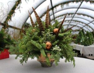 A festive evergreen arrangement in a basket with pheasant feathers, copper ornaments, and variegated foliage, displayed on a table under a decorated greenhouse canopy.